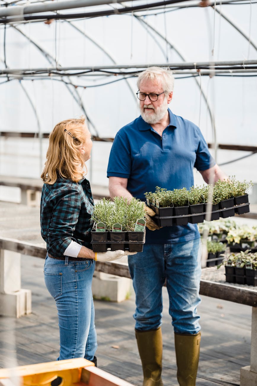 mature gardeners talking in greenhouse